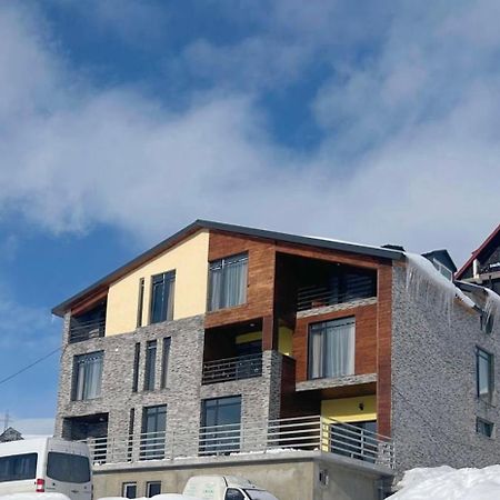Dandelion Hotel Gudauri Ganisi المظهر الخارجي الصورة