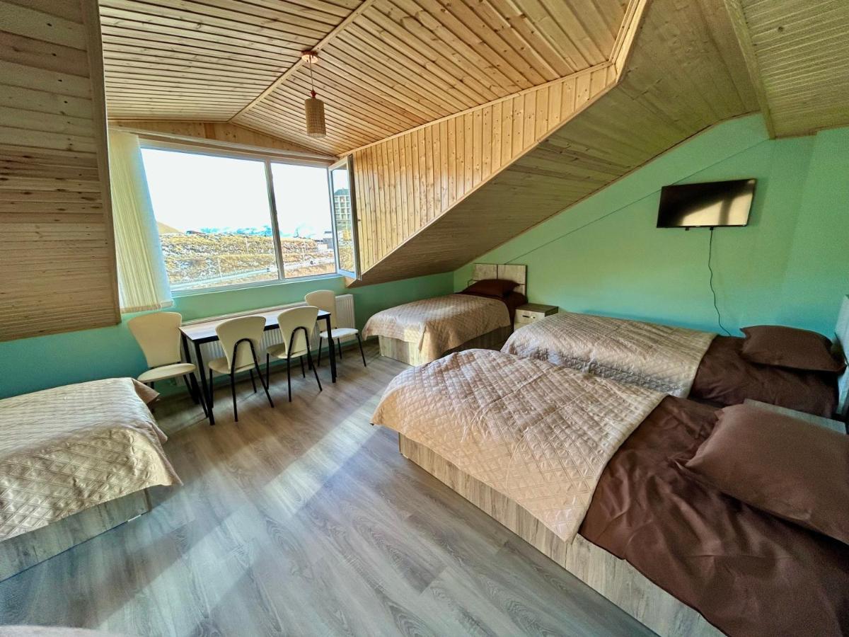 Dandelion Hotel Gudauri Ganisi المظهر الخارجي الصورة